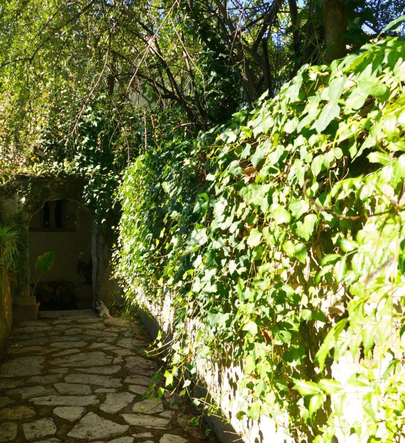 Casa Dos Arrabidos * Torres Novas